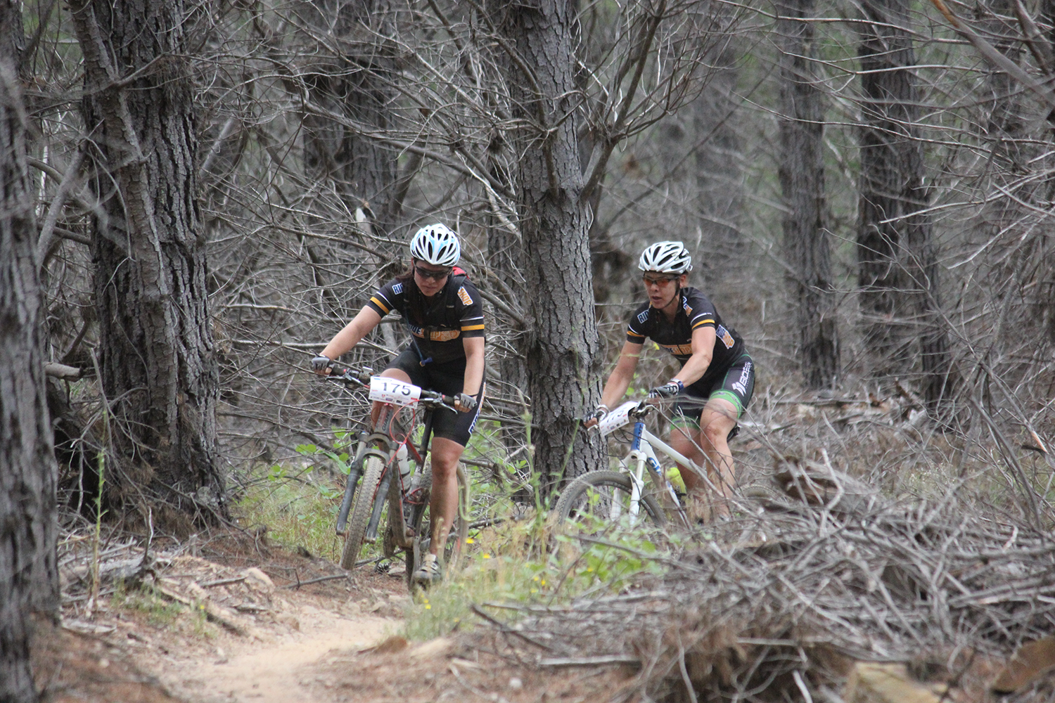 about-riders Two women on mountain bikes riding a dirt trail among trees