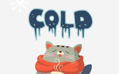 Don’t Hibernate—Thrive Through Winter