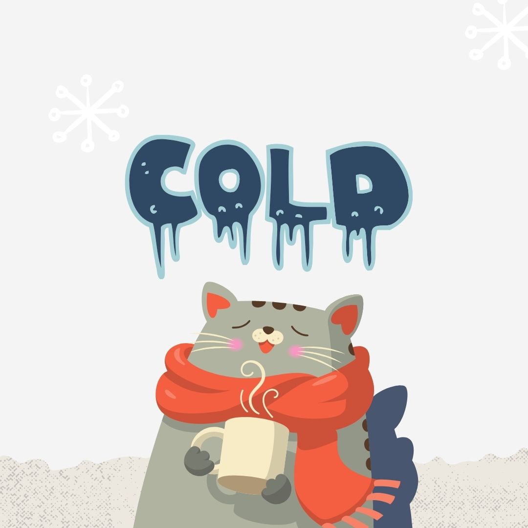 “Illustration of a happy cat in scarf holding a warm drink with the word 'cold' above—representing cozy winter moments.”