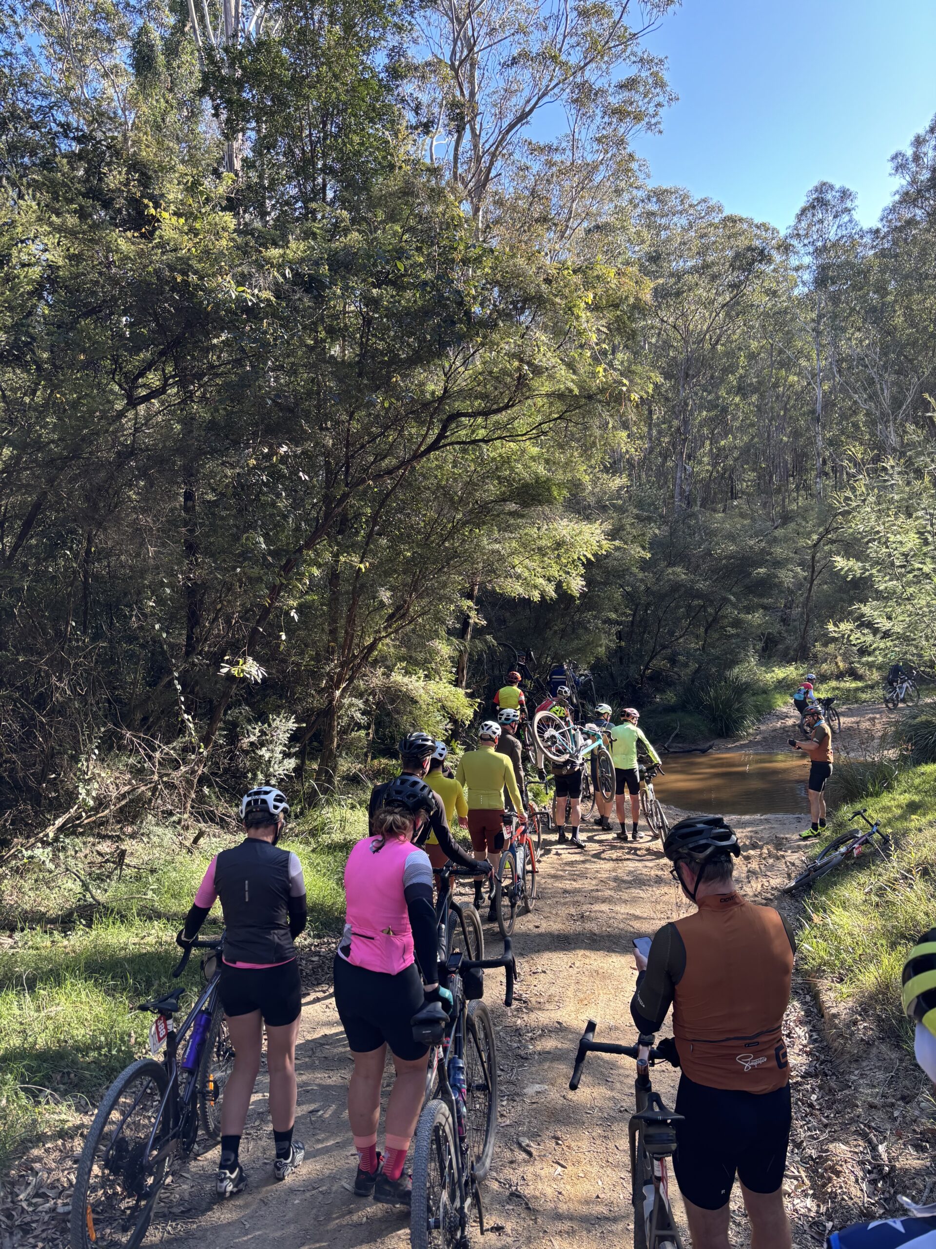Cyclists building skills during a group ride in autumn conditions
